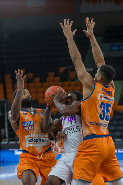 泽林斯基仍 泽林斯基仍